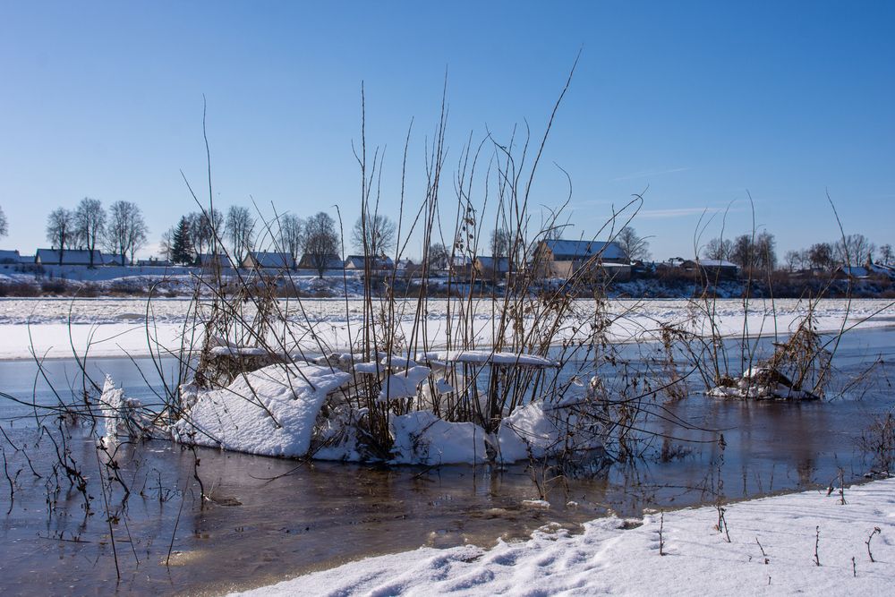 Фотография автора Нина Шкляр