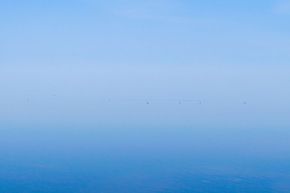 Photograph by pooya farhoodi