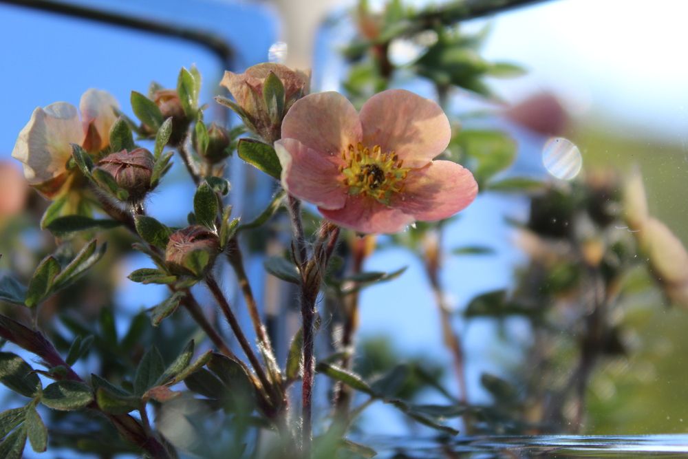 Фотография автора Юлия