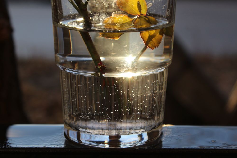 Фотография автора Юлия