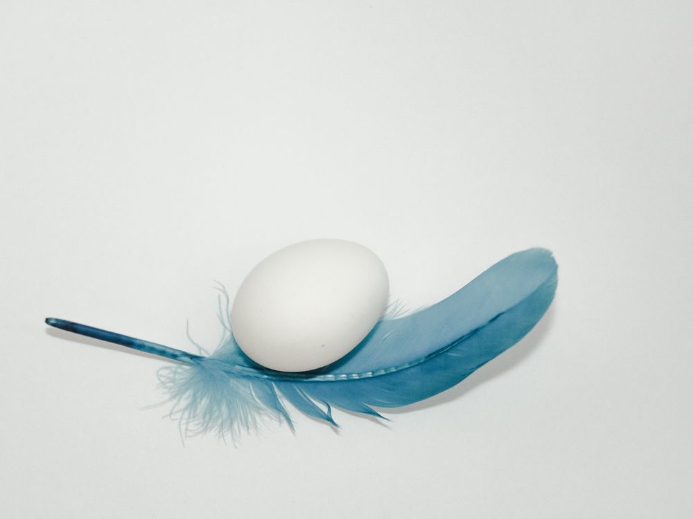 Фотография автора Tahani Almarafi