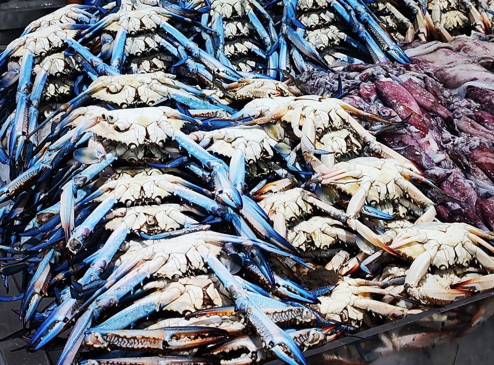 Photograph by Елена Охапкина