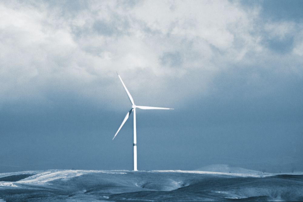 Фотография автора Tahani Almarafi