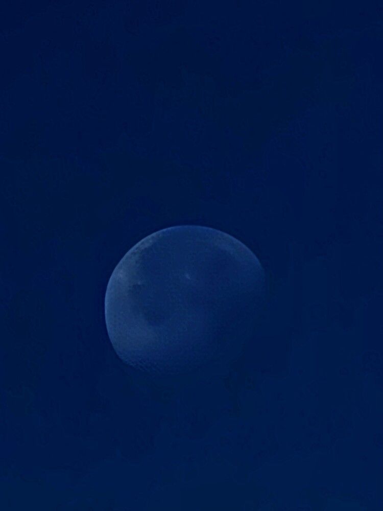 Photograph by Заира