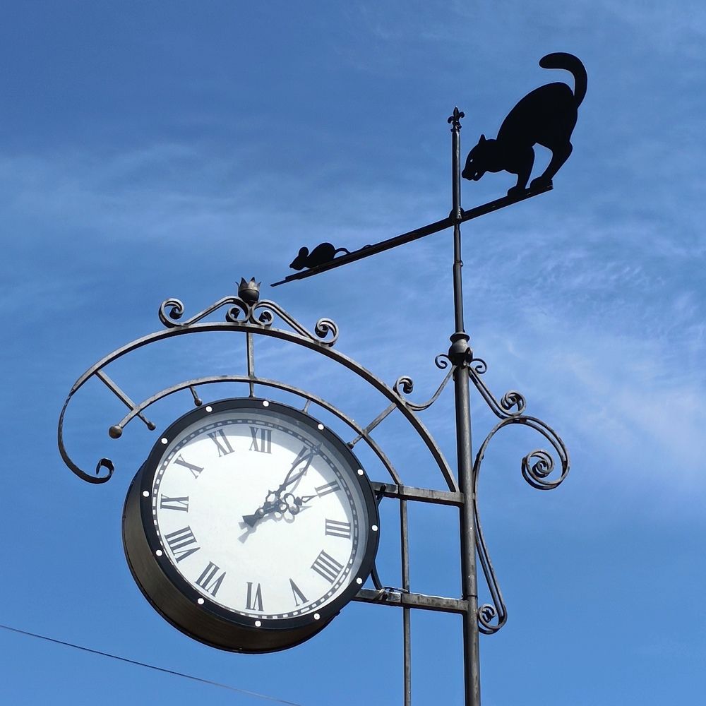 Photograph by Ирина Шведчикова