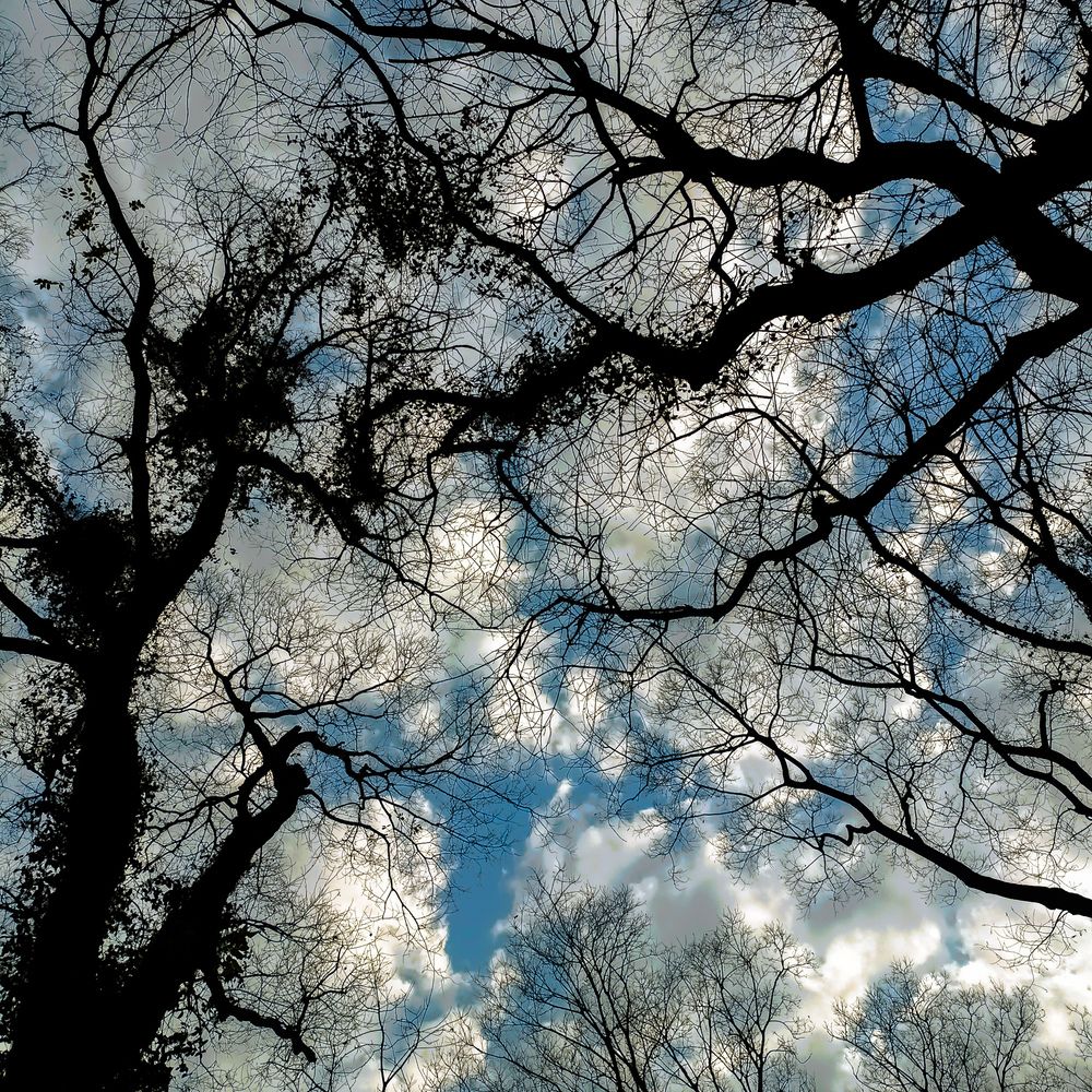 Photograph by Naimur Rahman
