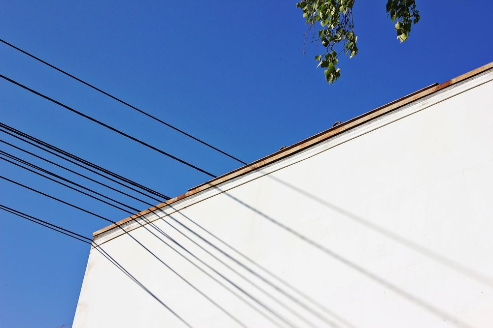 Photograph by Дарья