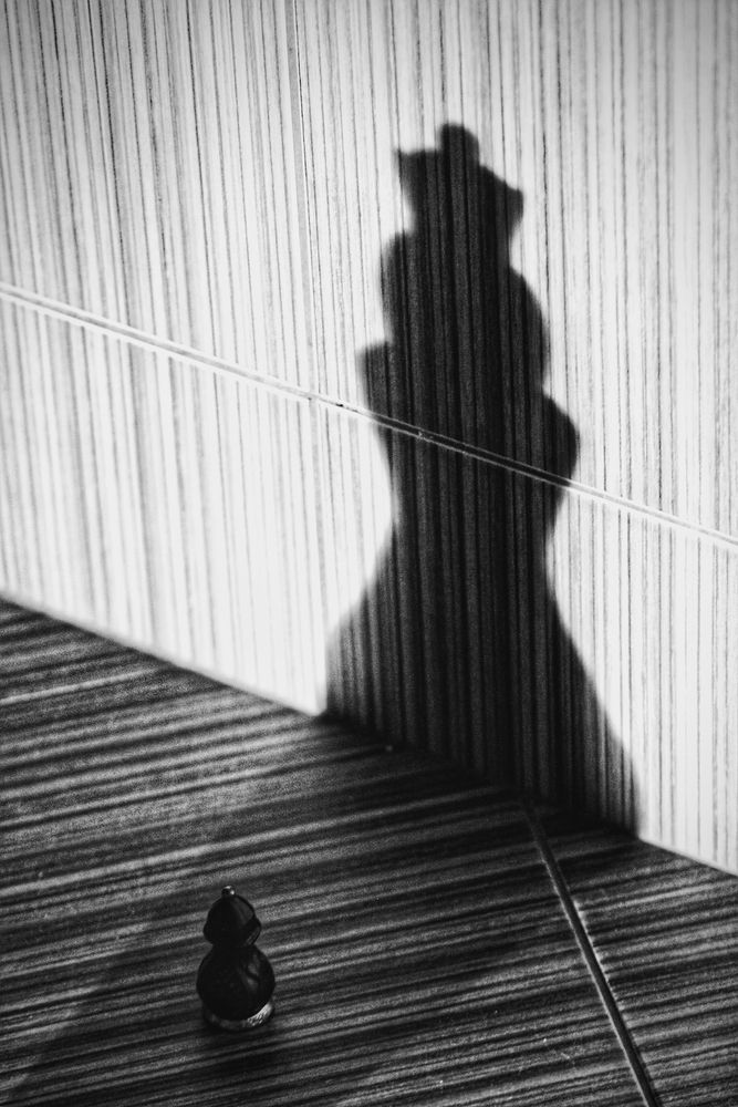 Photograph by Дарья