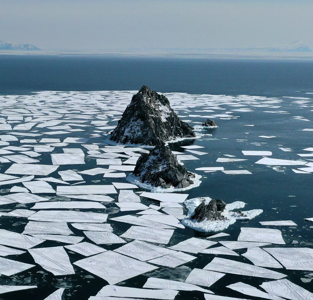 Photograph by Лариса Ким