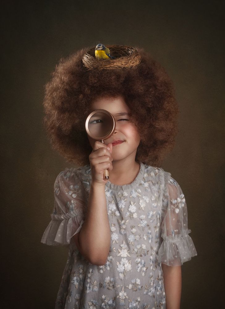Where Curiosity Takes Flight