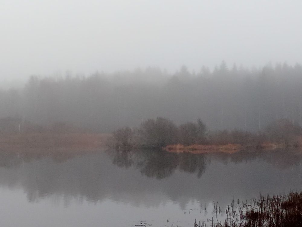 Photograph by Ольга Попова