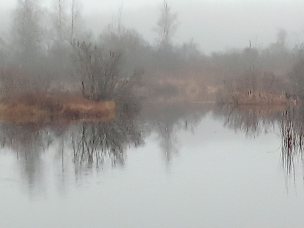 Photograph by Ольга Попова