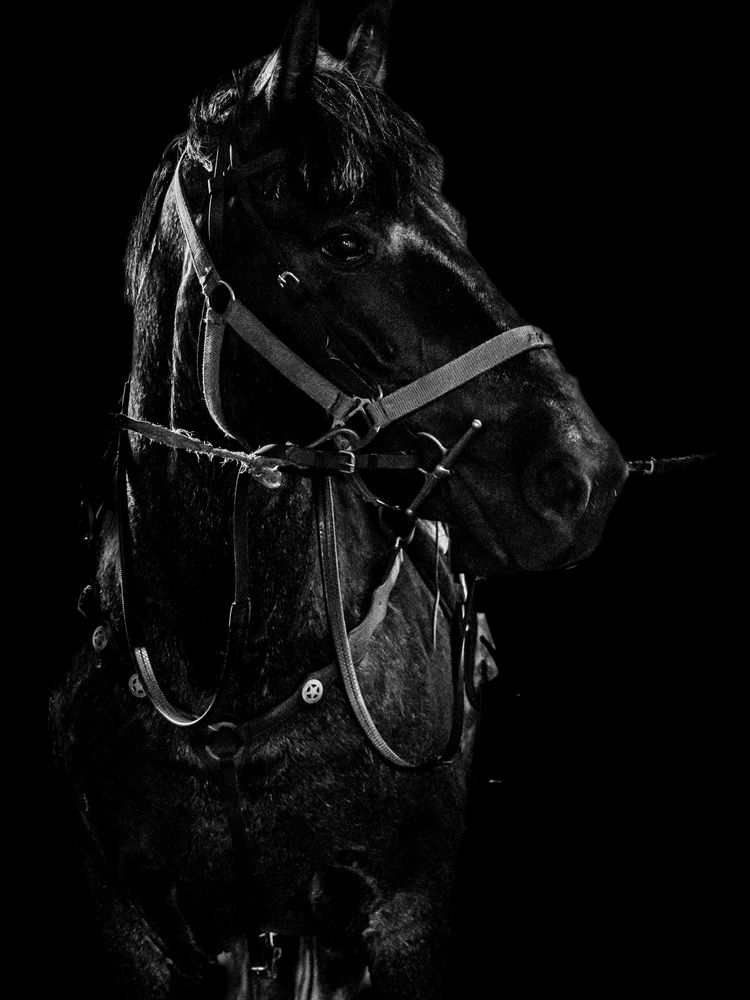 Photograph by Людмила Аксенова