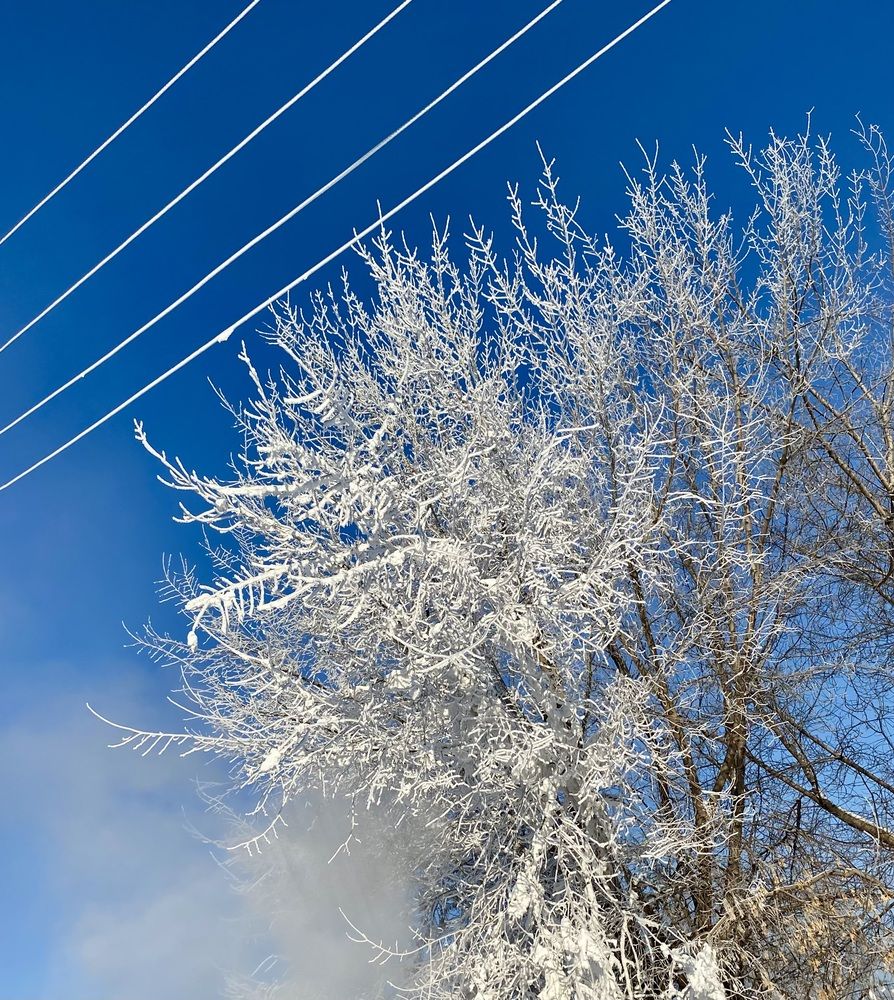 Photograph by Татьяна Шитлина