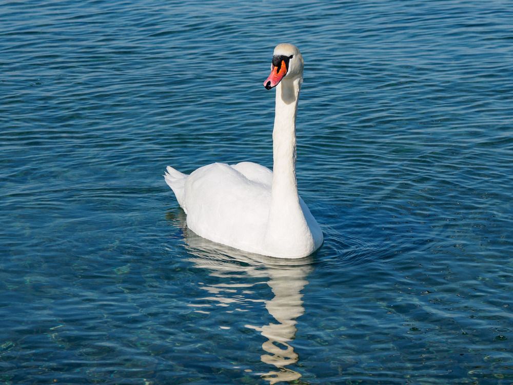 Photograph by Борис Полтавец