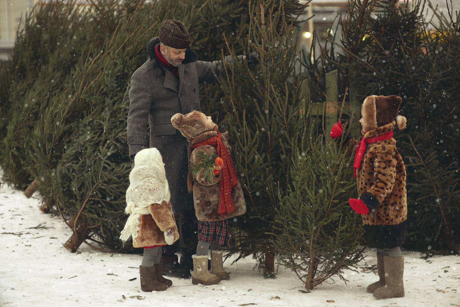 Фотография #12971039