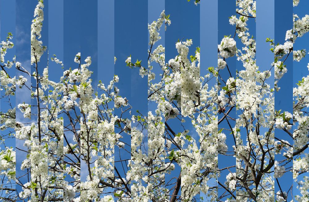 Фотография автора Могилевцева Дарья