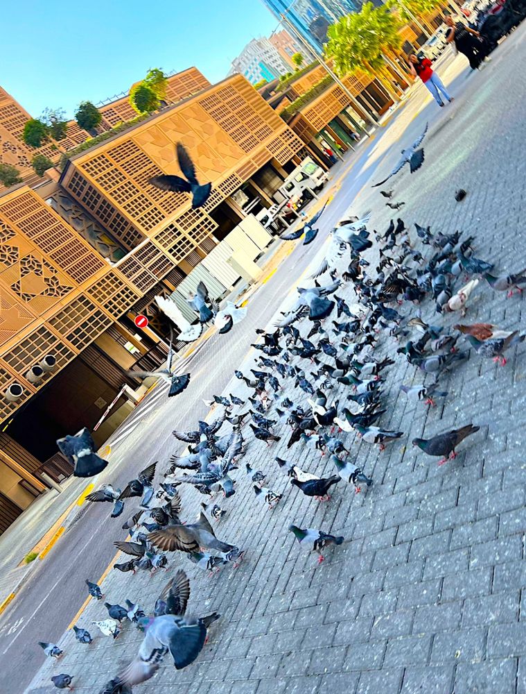 Photograph by Shimaa Mahmoud
