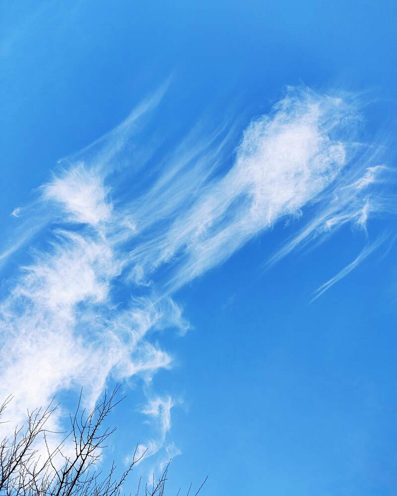 Photograph by Александра