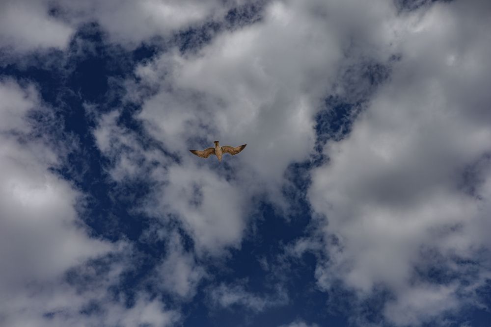 Photograph by Терещенко Евгений