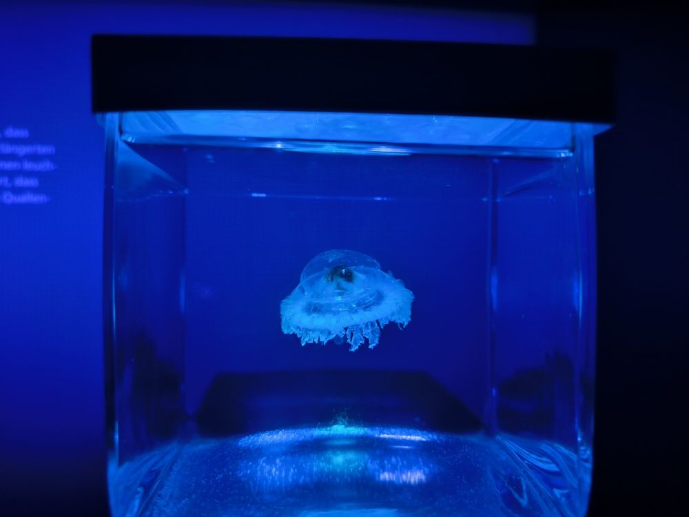 Photograph by Елена Симонова