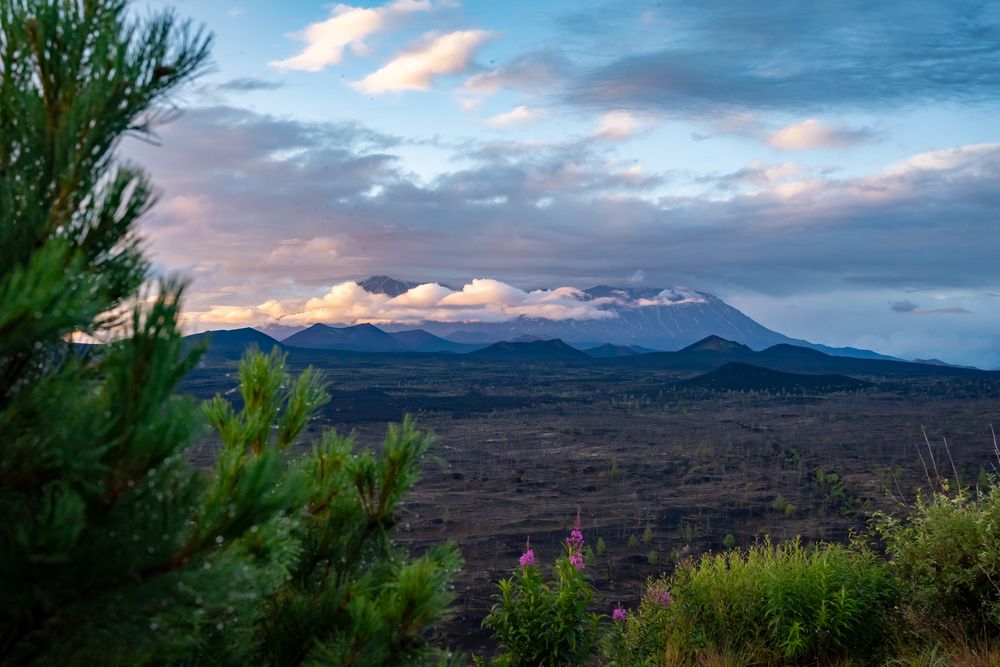 Photograph by Варвара Сорока