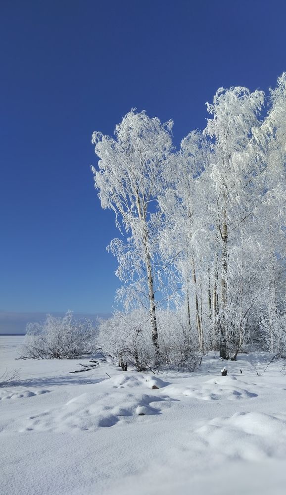 Photograph by Елена Малкова