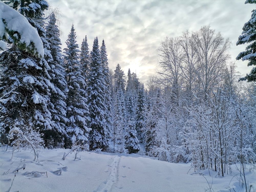 Photograph by Титенкова Нина