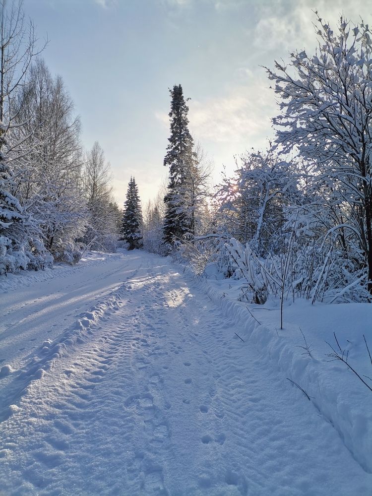 Photograph by Титенкова Нина