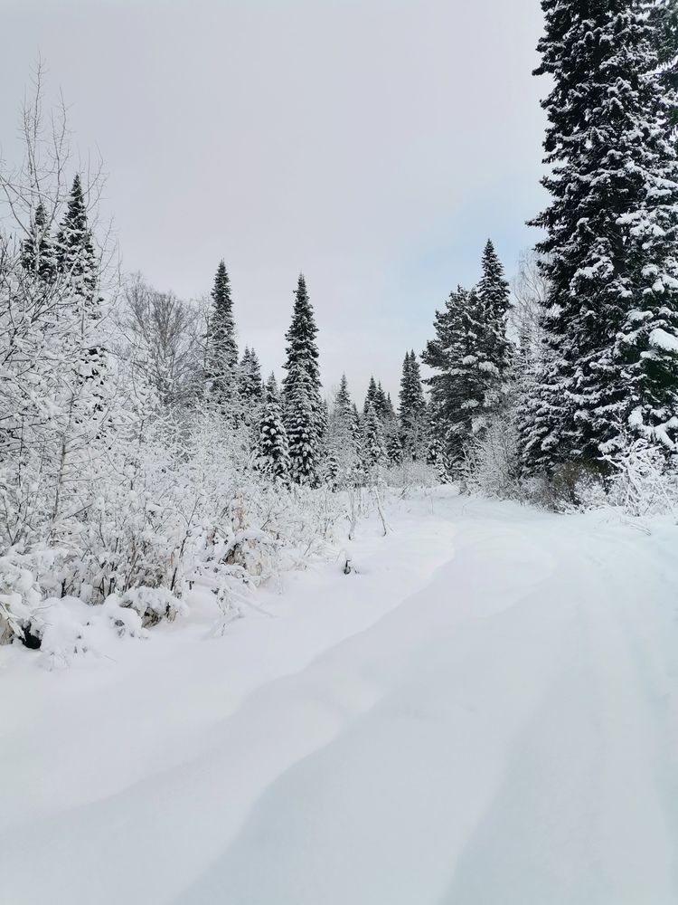 Photograph by Титенкова Нина