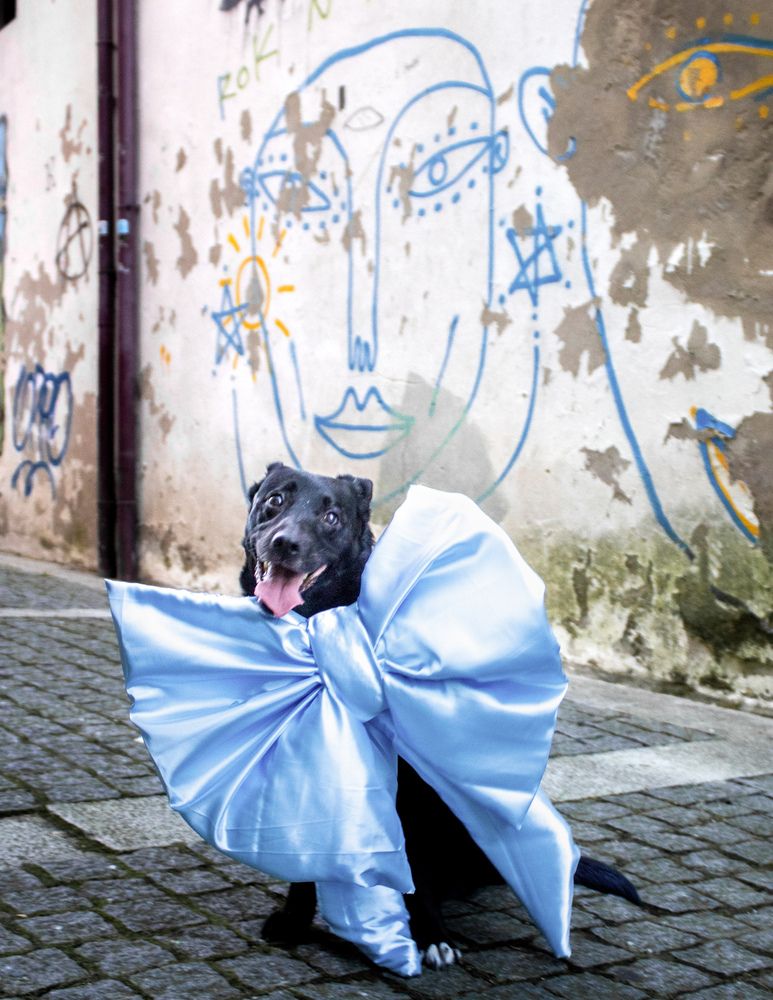 Photograph by Mónica Ramires