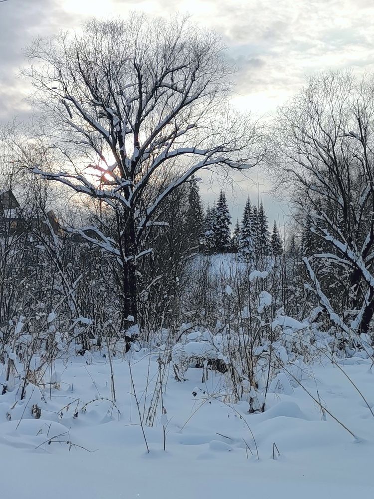 Photograph by Титенкова Нина