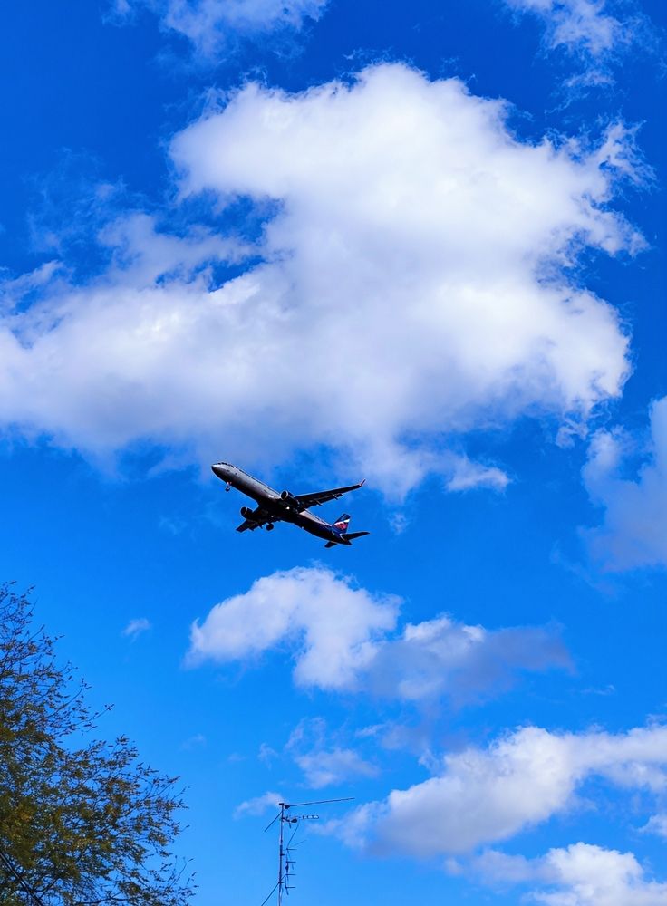 Photograph by Юлия Холомцева