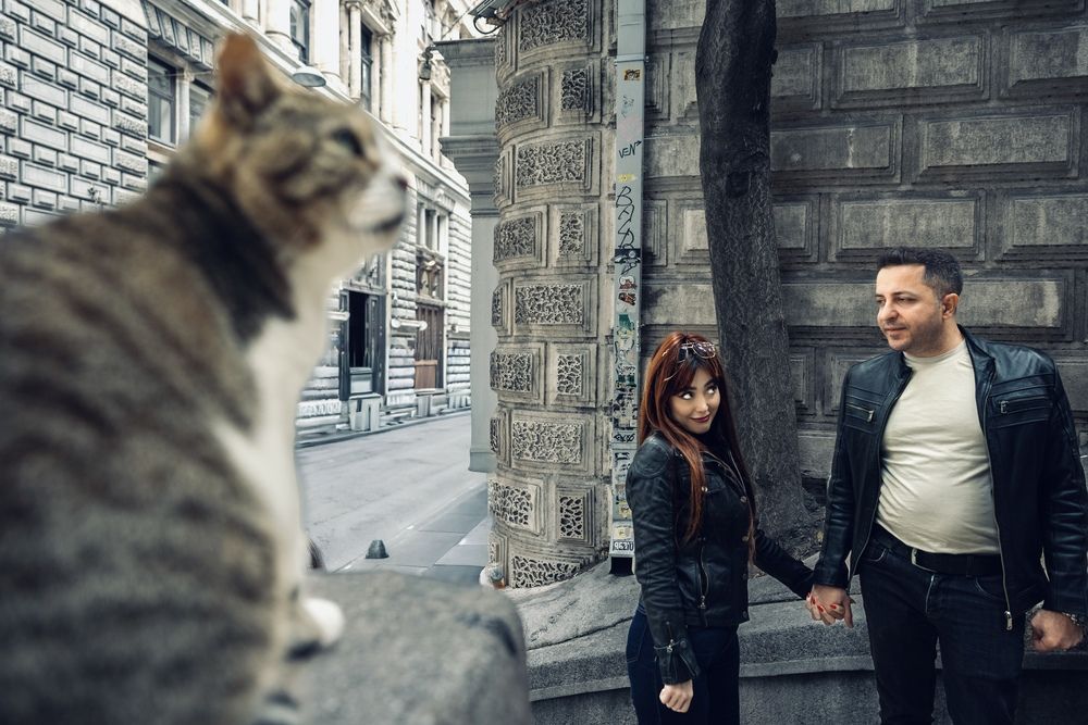 Фотография автора necdet polat