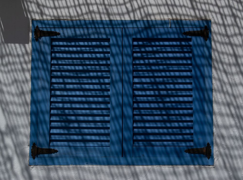 Photograph by Julio Medina