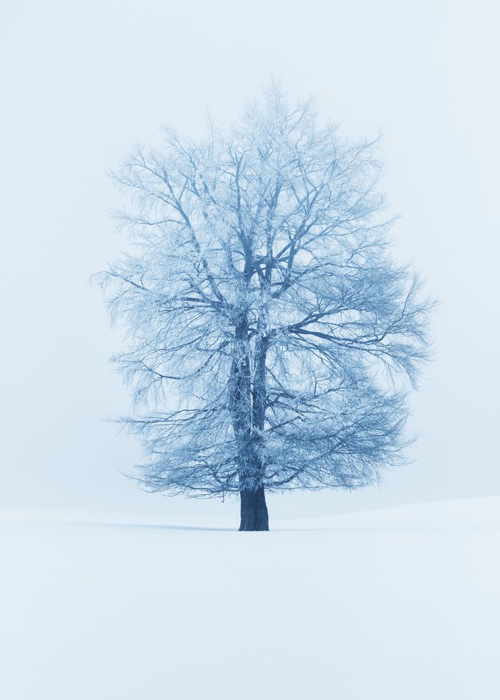 Photograph by Vania Tonova