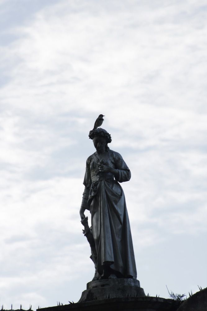 Photograph by Alexandre Pimentel