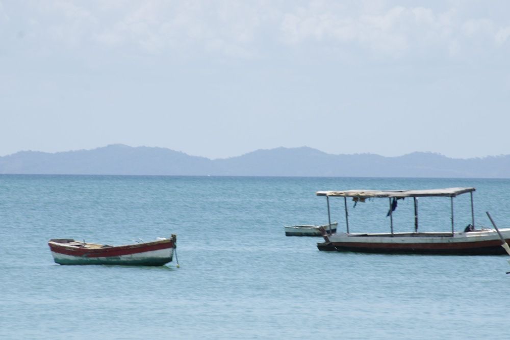 Фотография автора Alexandre Pimentel