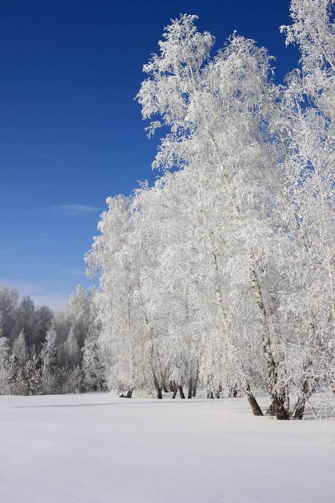 Photograph by Карпенко Александр