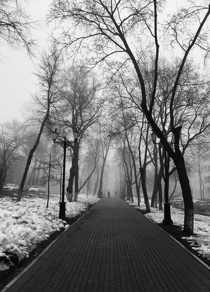 Photograph by Ольга Ручьева