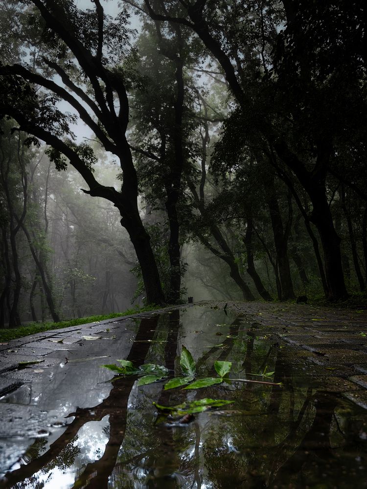 Photograph by Igor Maksimenko
