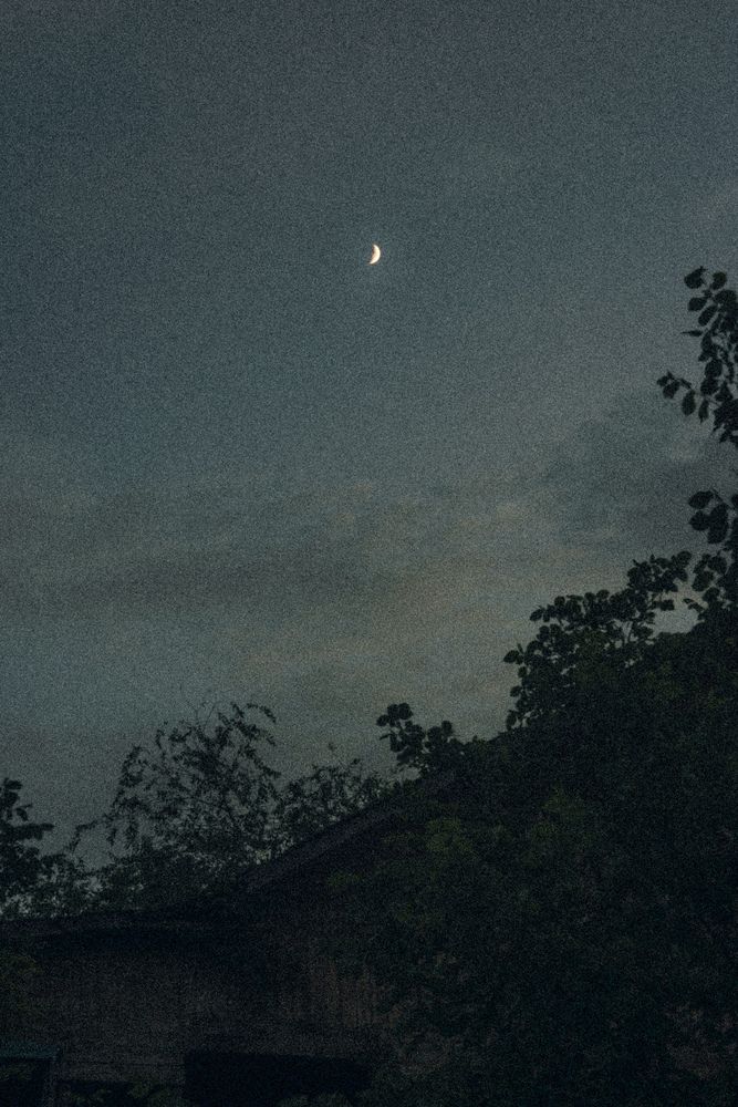 Photograph by Шамаев Валерий