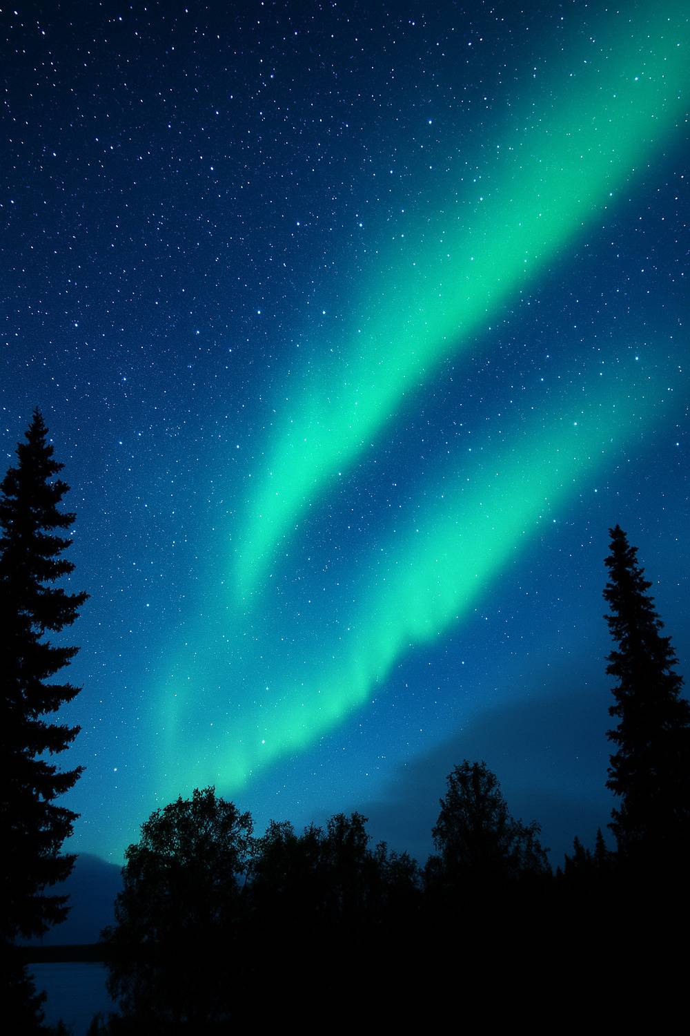 Фотография #12971528