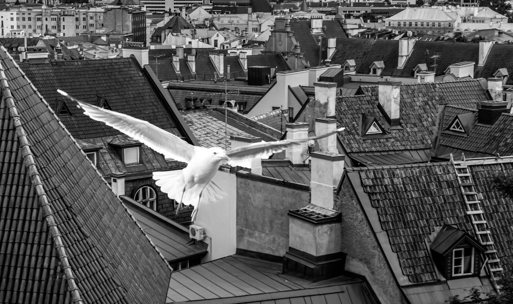 Photograph by Gennadiy Slezkin