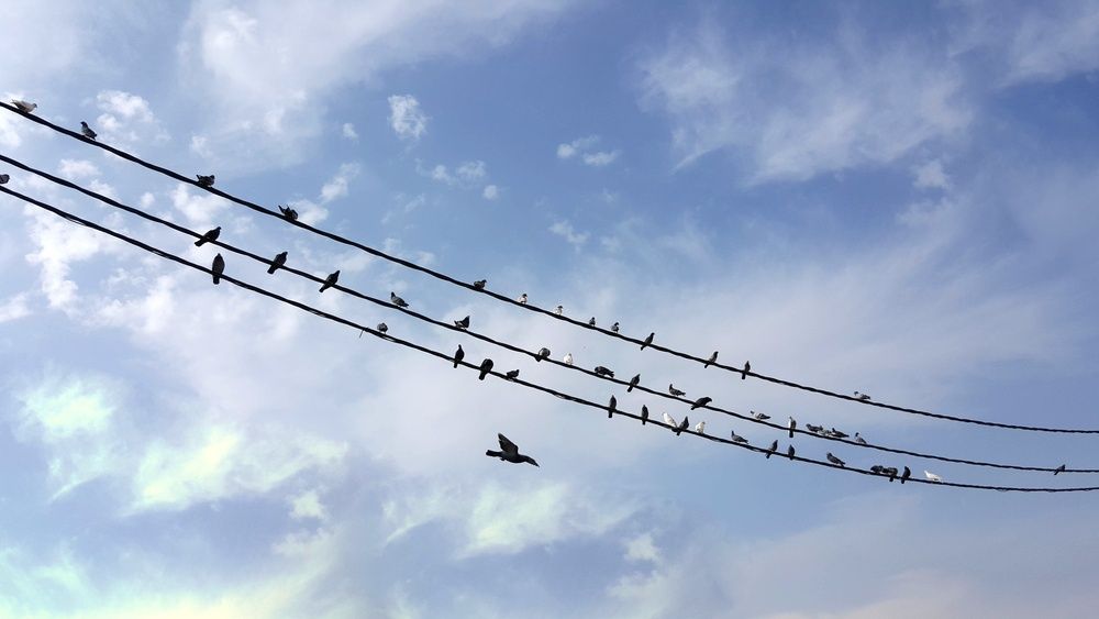 Photograph by Abdallah Khader