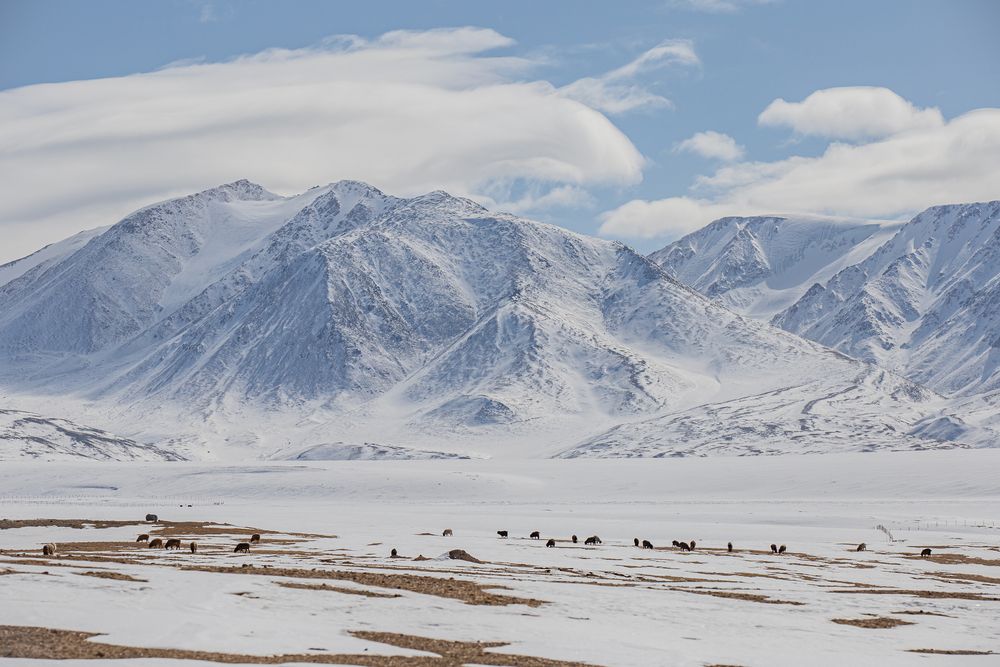 Photograph by Елена Павлова