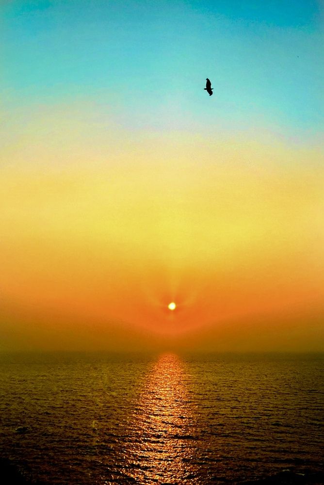 Фотография автора Tushar Bhogle