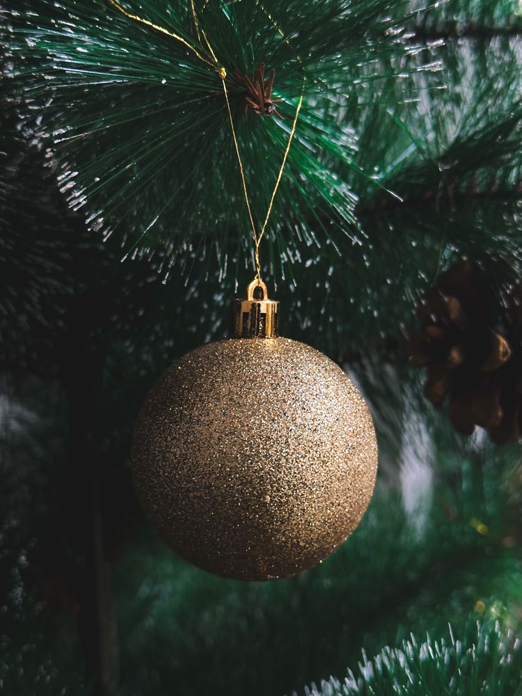 Фотография автора Анастасия