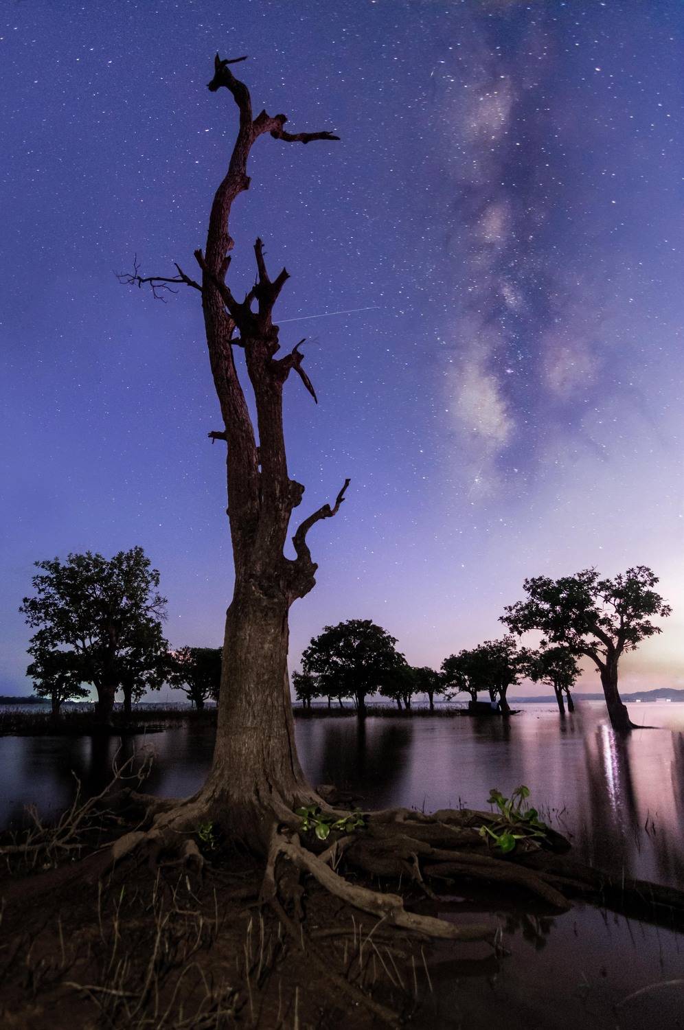 Фотография #12971648