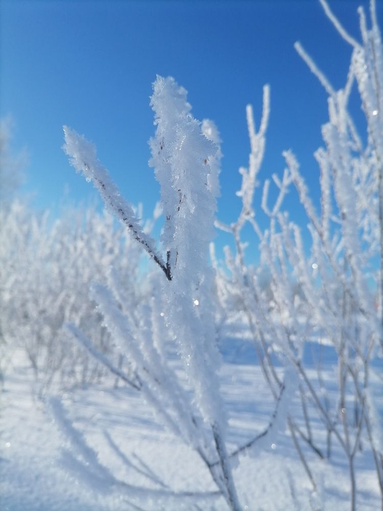 Photograph by Андрей Трякин